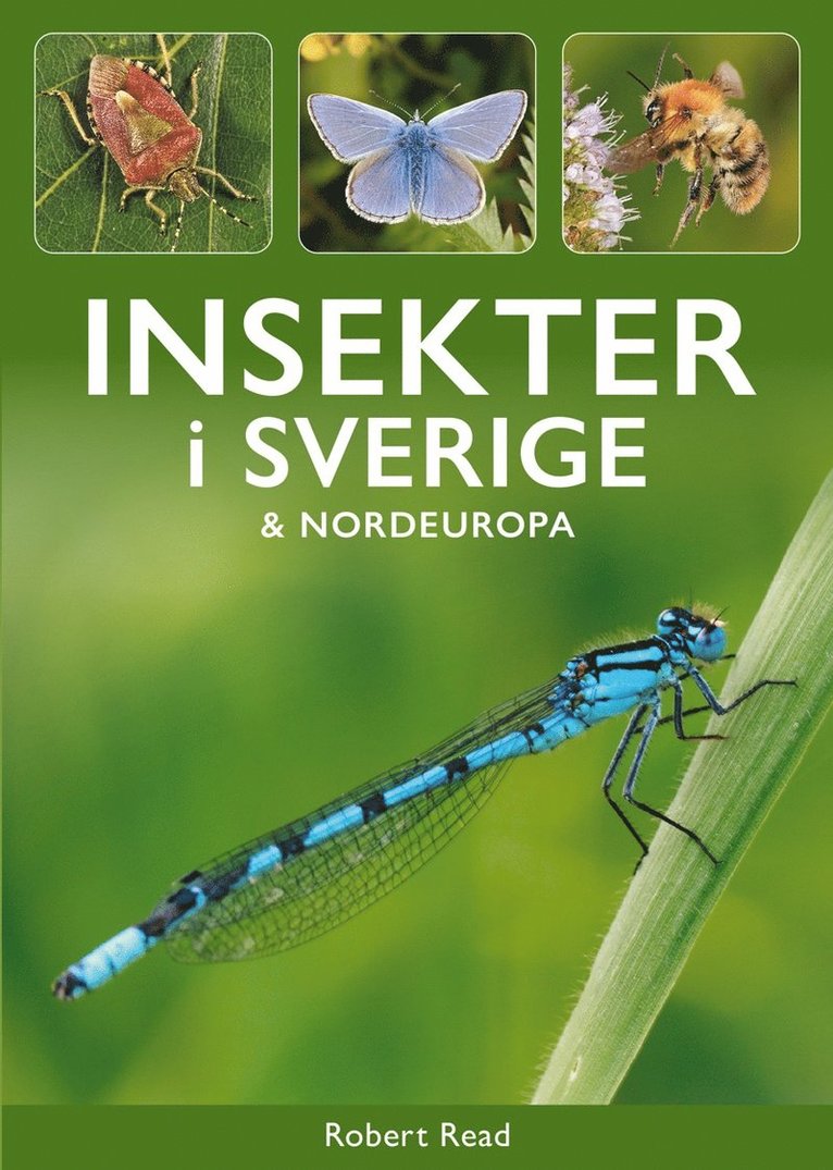 Robert Read - Insekter i Sverige och Nordeuropa, Häftad