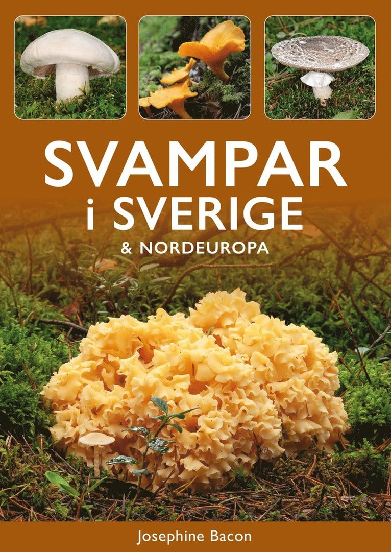 Svampar i Sverige & Nordeuropa 1