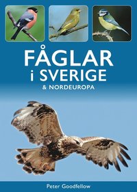 bokomslag Fåglar i Sverige & Nordeuropa