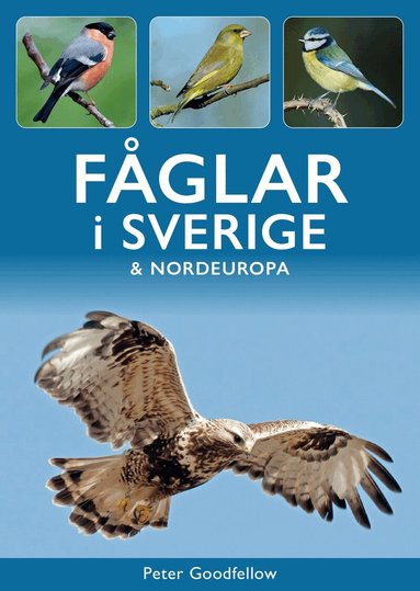 Peter Goodfellow - Fåglar i Sverige och Nordeuropa, Häftad