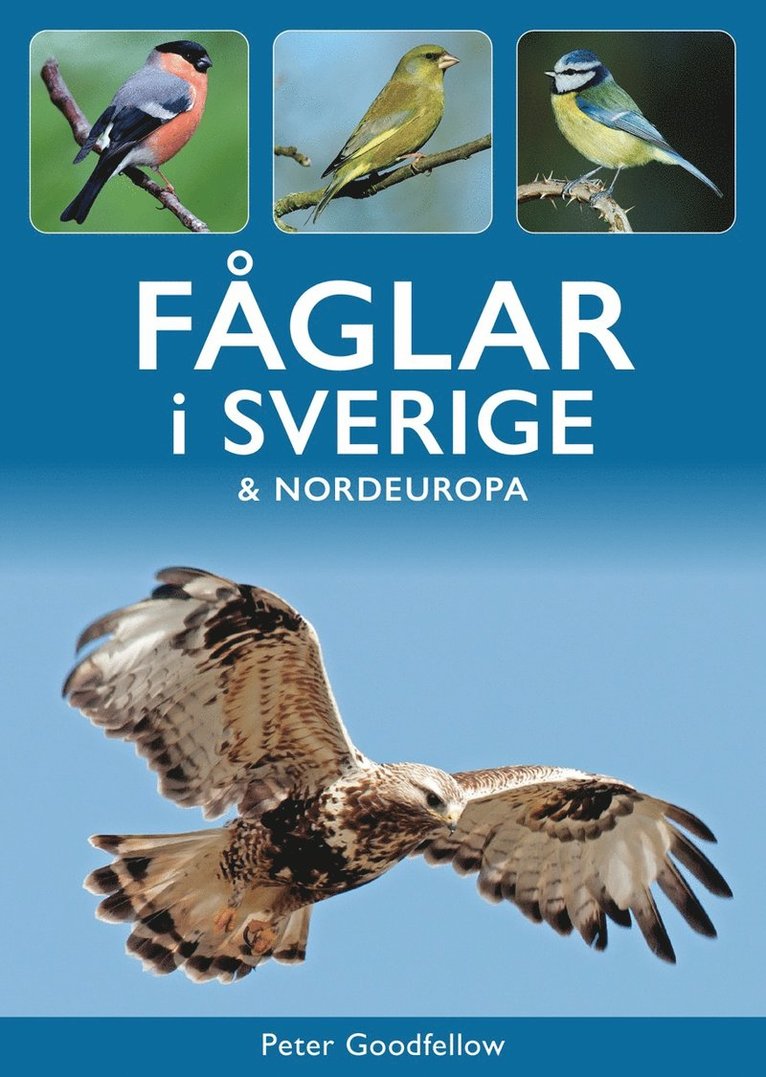 Peter Goodfellow - Fåglar i Sverige och Nordeuropa, Häftad