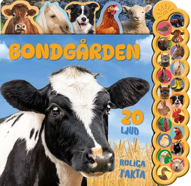 Bondgården, Kartonnage