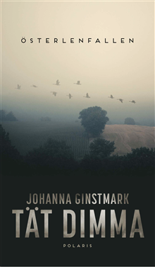 Johanna Ginstmark - Tät dimma, Pocket