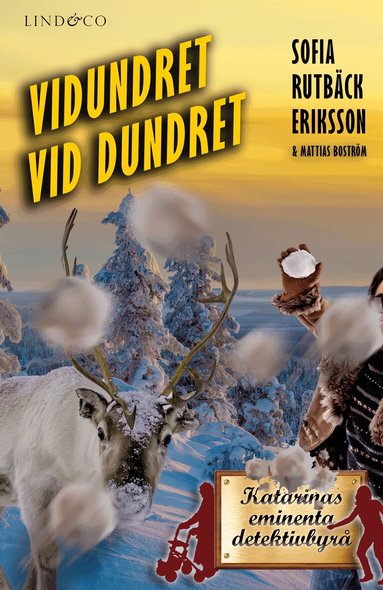 Sofia Rutbäck Eriksson, Mattias Boström - Vidundret vid Dundret, Häftad