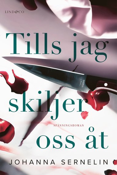 bokomslag Tills jag skiljer oss åt