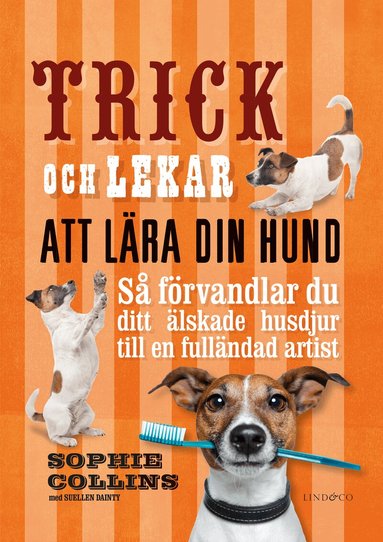 Sophie Collins, Suellen Dainty - Trick och lekar att lära din hund : så förvandlar du ditt älskade husdjur.., Inbunden