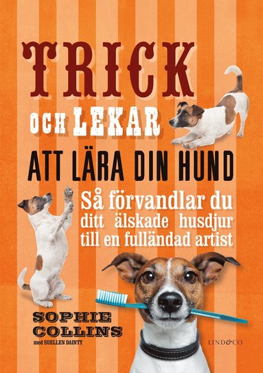 bokomslag Trick och lekar att lära din hund : så förvandlar du ditt älskade husdjur..