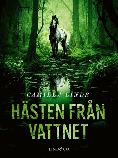 Camilla Linde - Hästen från vattnet, Inbunden