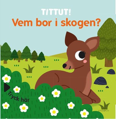 bokomslag Tittut! Vem bor i skogen?