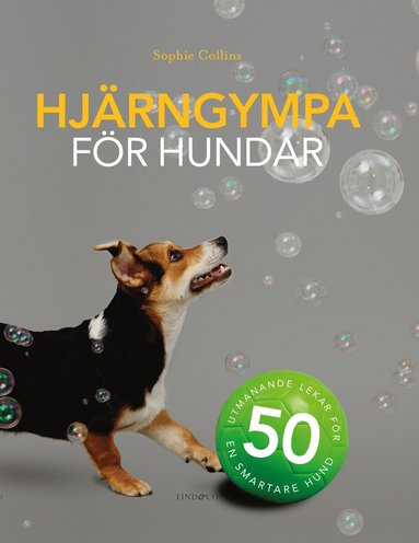 bokomslag Hjärngympa för hundar : 50 utmanande lekar för en smartare hund