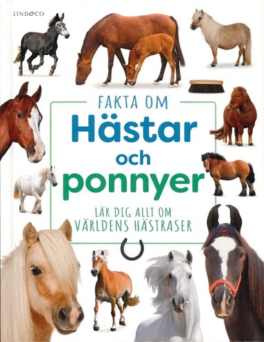 Kritika Gupta - Fakta om hästar och ponnyer : Lär dig allt om världens hästraser, Inbunden