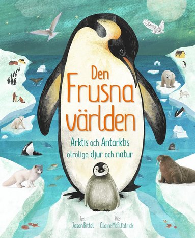 bokomslag Den frusna världen : Arktis och Antarktis otroliga djur och natur