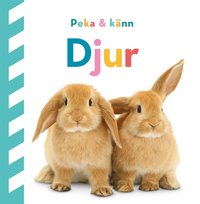 bokomslag Peka och känn : Djur