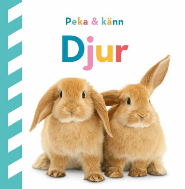 Dawn Sirett - Peka och känn. Djur, Kartonnage