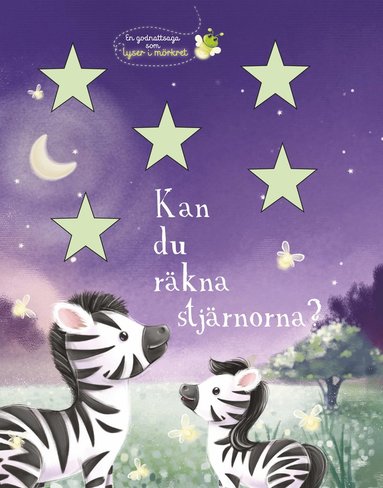 bokomslag Kan du räkna stjärnorna? : en godnattsaga som lyser i mörkret