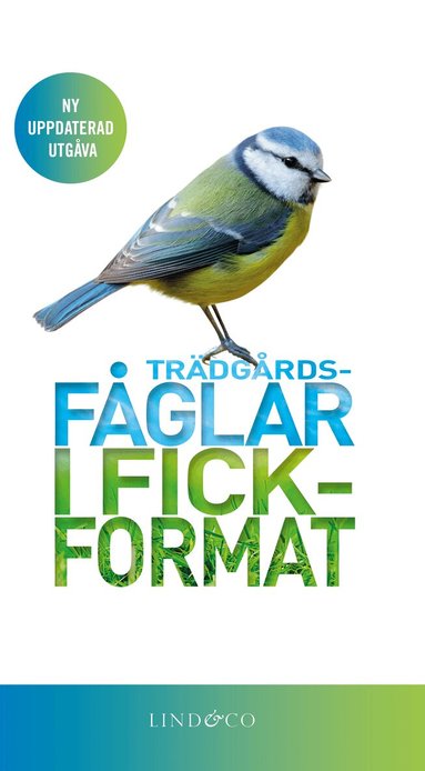 Mark Ward - Trädgårdsfåglar i fickformat, Inbunden
