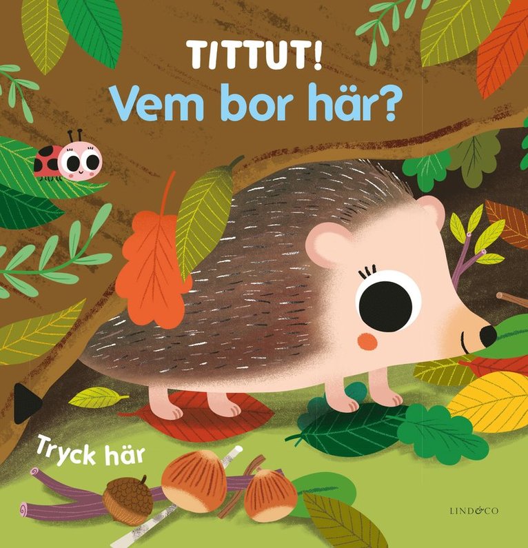 Tittut! Vem bor här? 1