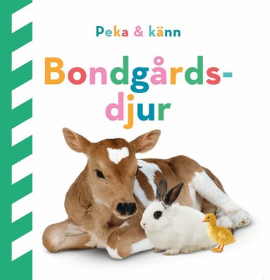 Dawn Sirett - Peka och känn. Bondgårdsdjur, Kartonnage