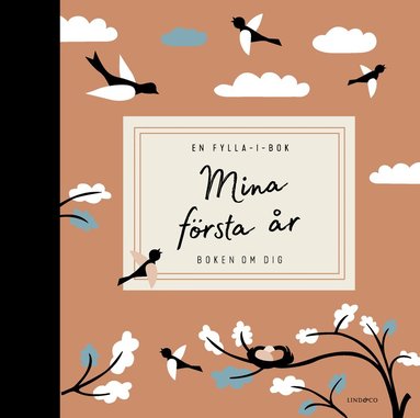 bokomslag Mina första år : boken om dig - en fylla-i-bok