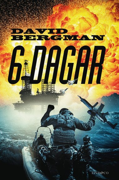 David Bergman - 6 dagar, Häftad