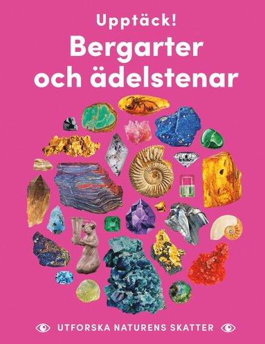 bokomslag Upptäck bergarter och ädelstenar : utforska naturens skatter