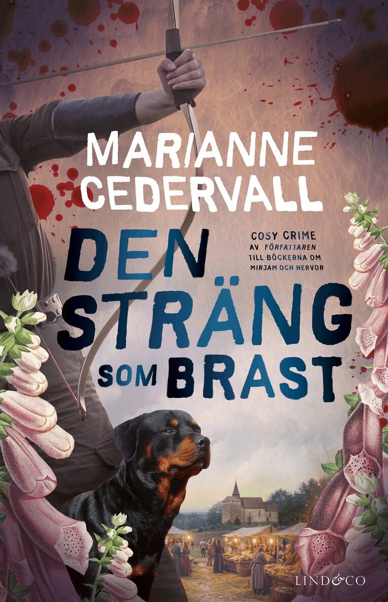 Den sträng som brast