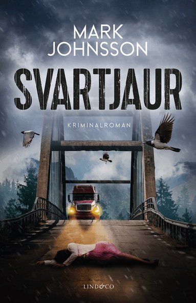 Mark Johnsson - Svartjaur, Häftad