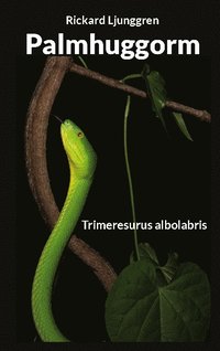 bokomslag Palmhuggorm : Trimeresurus albolabris