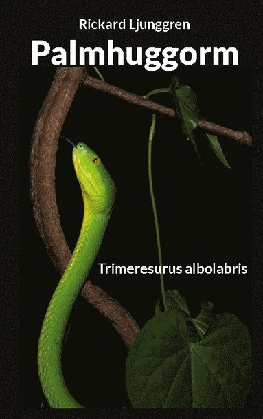 bokomslag Palmhuggorm: Trimeresurus albolabris
