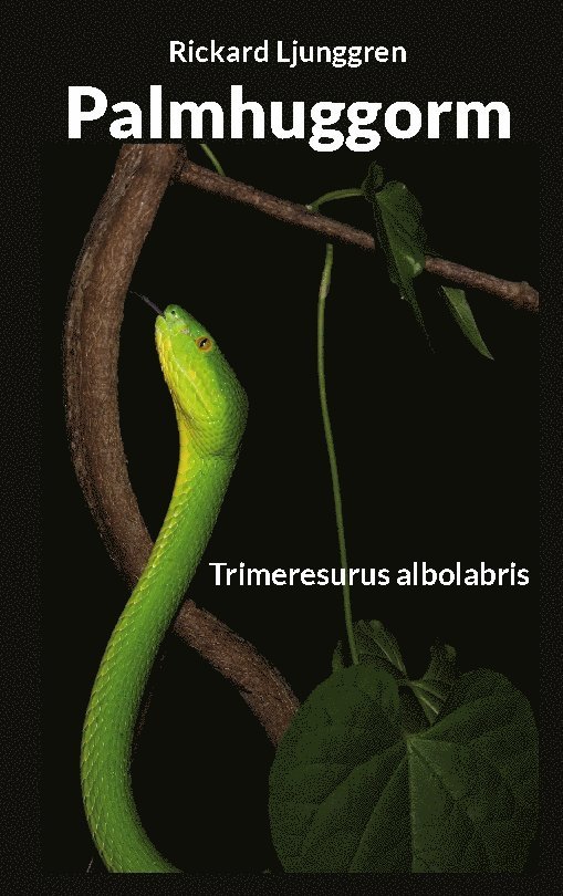 Palmhuggorm : Trimeresurus albolabris 1