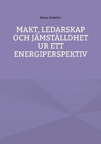 bokomslag Makt, ledarskap och jämställdhet ur ett energiperspektiv