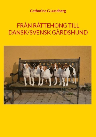 bokomslag Från Råttehong till Dansk/svensk gårdshund