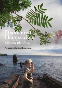 bokomslag Diamanten i kappsäcken : min resa till Afrika