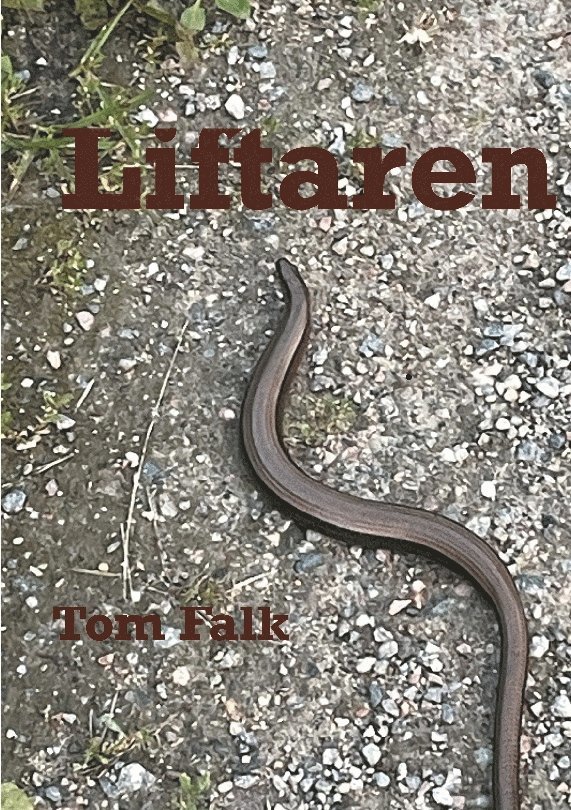 Tom Falk - Liftaren, Häftad