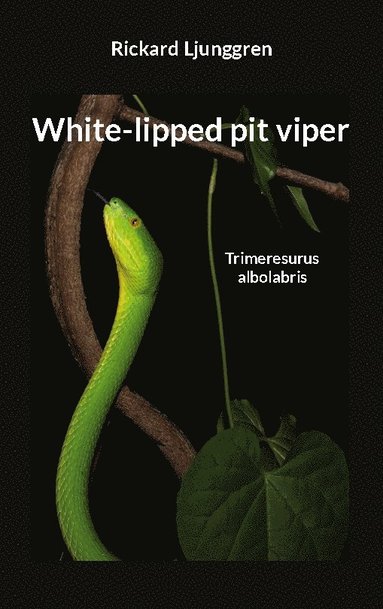 bokomslag White-lipped pit viper: Trimeresurus albolabris