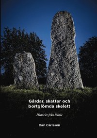 bokomslag Gårdar, skatter och bortglömda skelett : Historier om Buttle