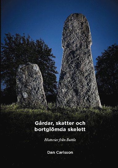 bokomslag Gårdar, skatter och bortglömda skelett : historier om Buttle