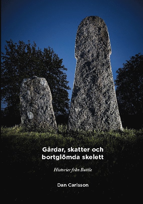 Gårdar, skatter och bortglömda skelett : historier om Buttle 1