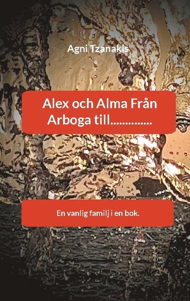 bokomslag Alex och Alma från Arboga till : en vanlig familj i en bok