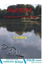 bokomslag Kod R291 : En något annorlunda kriminalroman