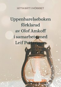 bokomslag Uppenbarelseboken förklarad