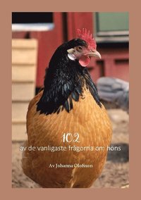 bokomslag 102 av de vanligaste frågorna om höns