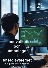 bokomslag Innovation och utmaningar i ett nytt energisystem : en guide för en proaktiv elnätverksamhet