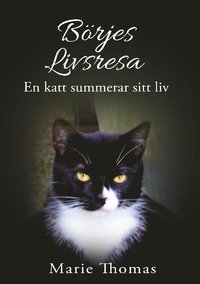 bokomslag Börjes livsresa : en katt summerar sitt liv