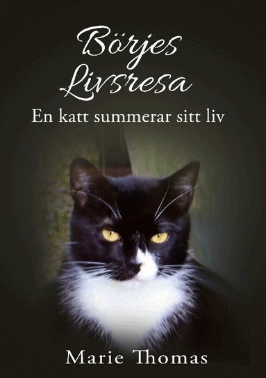 Marie Thomas - Börjes livsresa : en katt summerar sitt liv, Häftad
