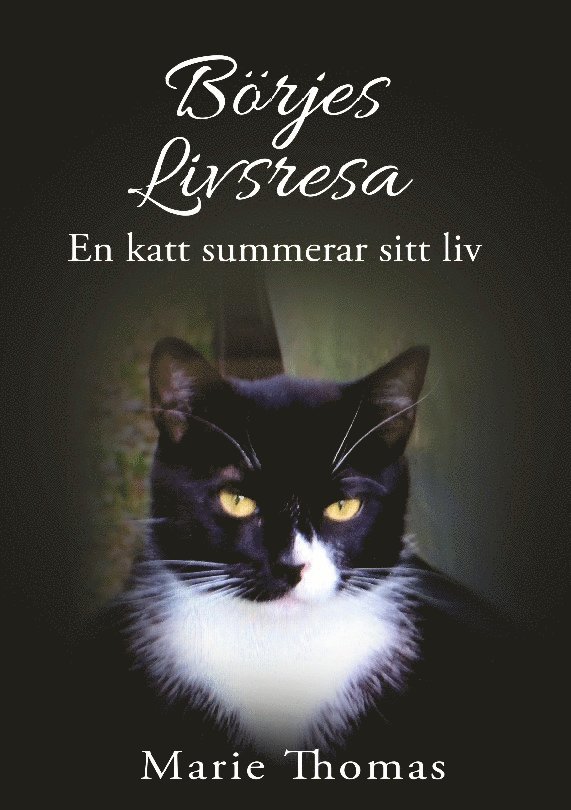 Marie Thomas - Börjes livsresa : en katt summerar sitt liv, Häftad