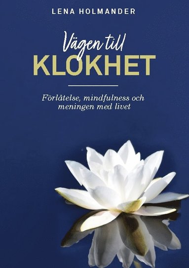 bokomslag Vägen till klokhet : förlåtelse, mindfulness och meningen med livet