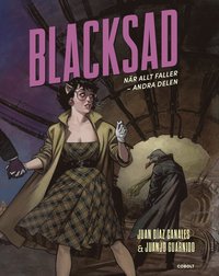 bokomslag Blacksad : när allt faller : andra delen