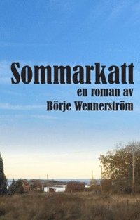 bokomslag Sommarkatt