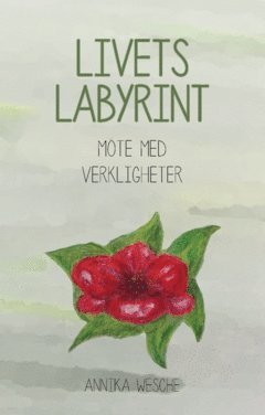 Annika Wesche - Livets labyrint : möte med verkligheter, Häftad